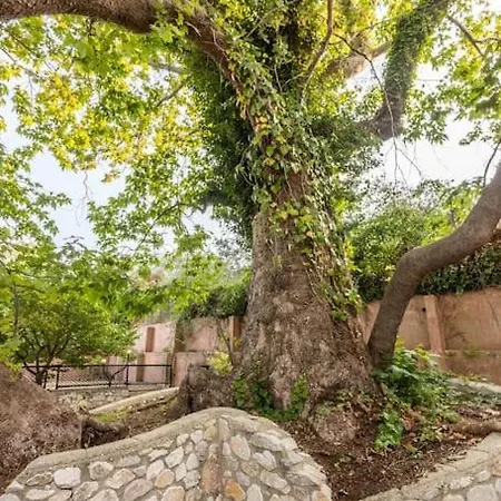 Areti's Dream House بيت للعطل فليكا